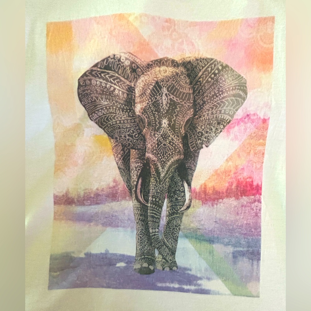 American Rag, Elephant T Shirt - Picture 5 of 6
